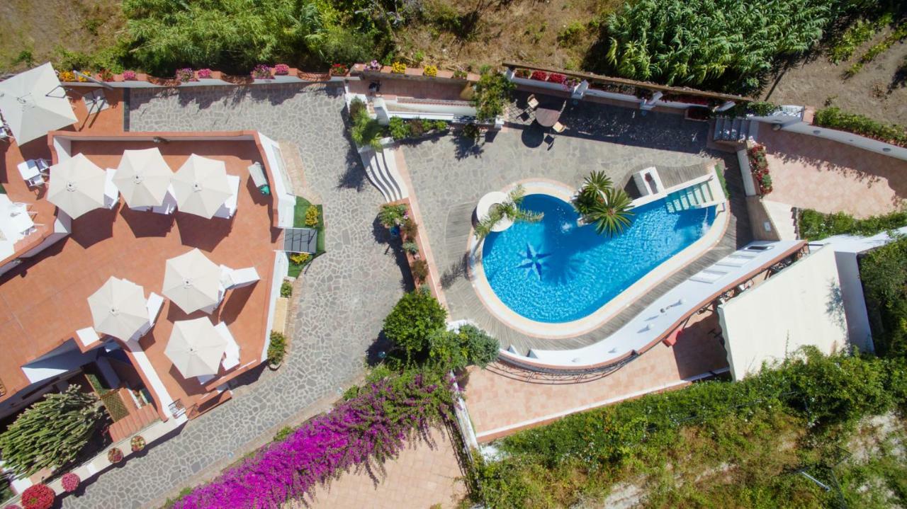 Villa Araucaria Casamicciola Terme Zewnętrze zdjęcie