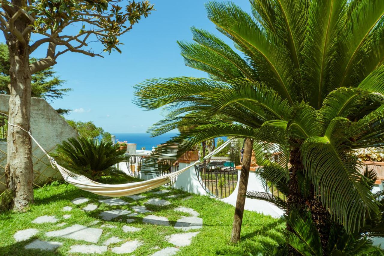 Villa Araucaria Casamicciola Terme Zewnętrze zdjęcie
